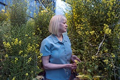 Hannah Carey, Ph.D, Director of the UW-Biotron walks between a row of plants growing within their outdoor greenhouse on the Biotron Laboratory property.