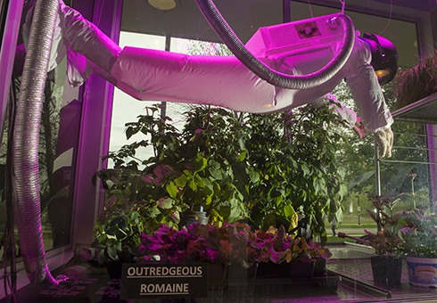 As soon as you walk into the Biotron Labortory you will see a display showcasing Outredgeous Romaine plant life being being grown in out of space setting under LCD lighting.