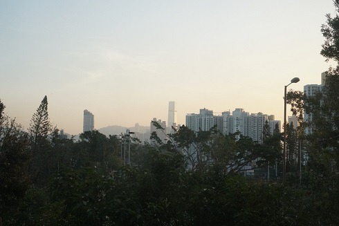 View of city from the dorm room