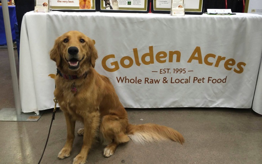 Golden Acres Dog