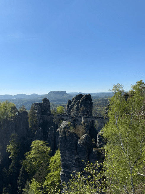 Tree top view of a stone bridge