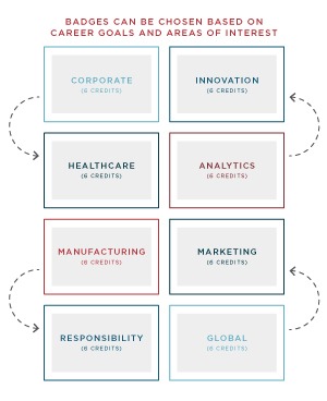 A graphic outlining badge options as part of the Wisconsin Professional MBA