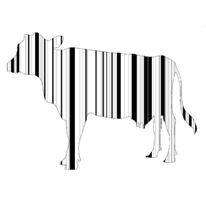 Cow shaped Barcode