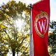 Wisconsin Crest flag flying by a tree in summer