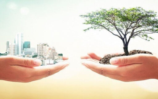 Illustration of two hands - hand on the left holding a city and the right hand holding a tree