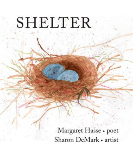 Shelter book cover