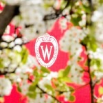 A W crest is pictured surrounded by the spring blooms of an ornamental pear tree