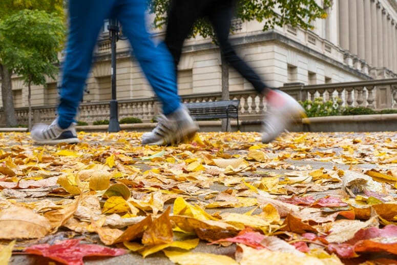 photo of legs of two students walking through fallen yellow leaves