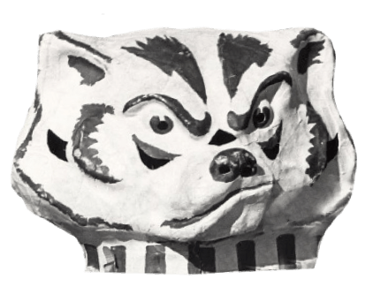 1967 bucky badger