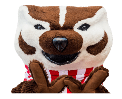 modern bucky badger