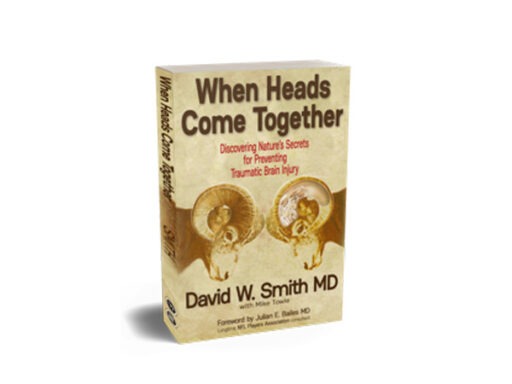 Two rams' heads touching on the book cover for When heads come together