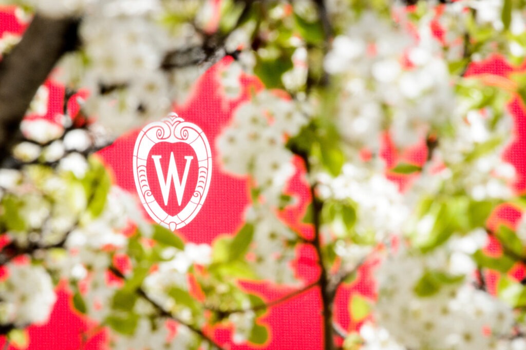 Wisconsin crest surrounded by spring tree blossoms