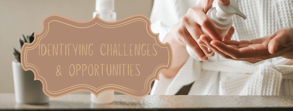 Identifying the opportunities and challenges image