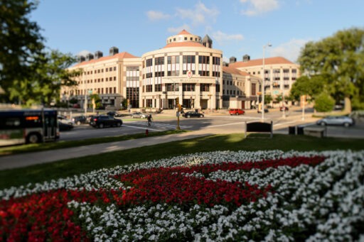 Grainger fall at sunrise with "W" of flowers