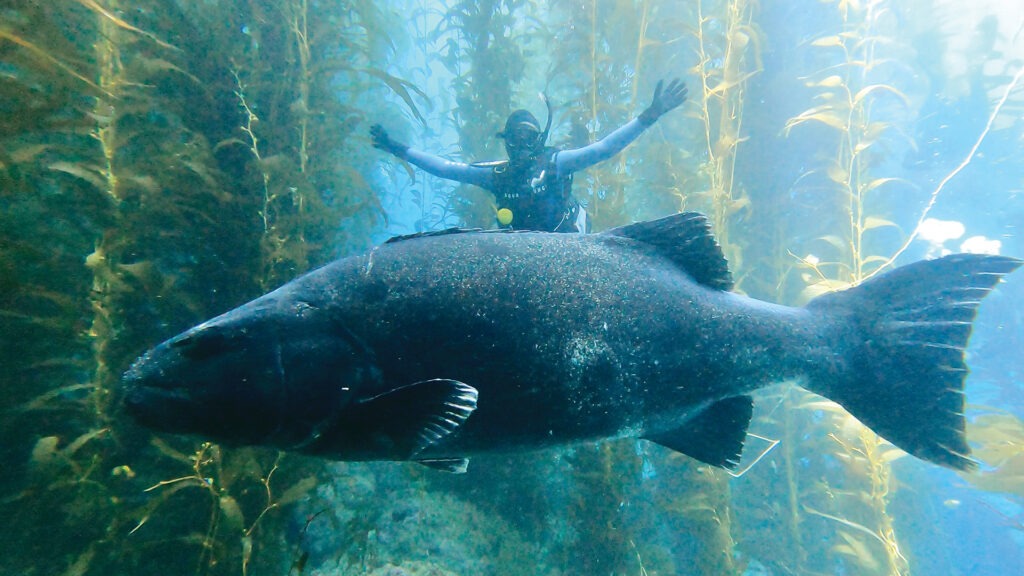 Student Pamela Sacko poses with a giant sea bass