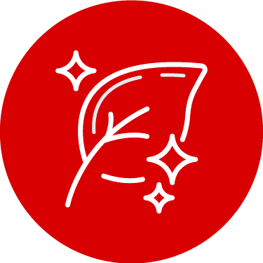 icon of leaf