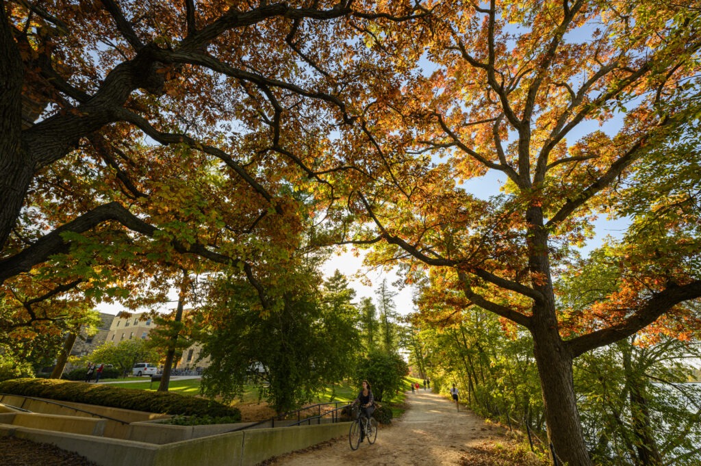 People walking and cycling on Howard Temin Lakeshore Path in the fall.