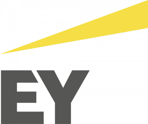 Ernst Young logo.