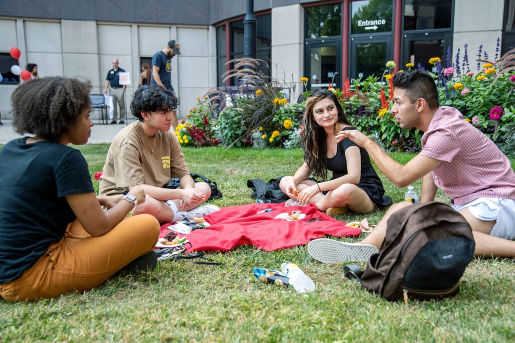 Four students sitting on the grass eating and talking to each other.
